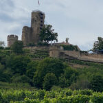 Die Wachtenburg