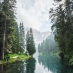 (C) Luca Bravo / unsplash.com