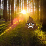 Kac*** im Wald